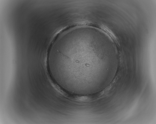 X0000112760058200908201446