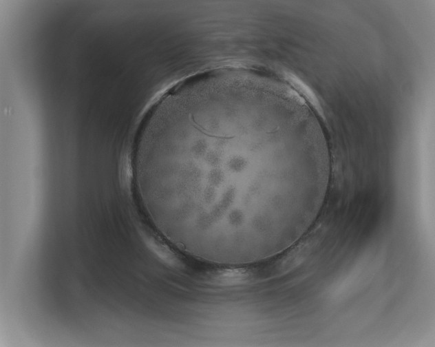 X0000112760059200908201446