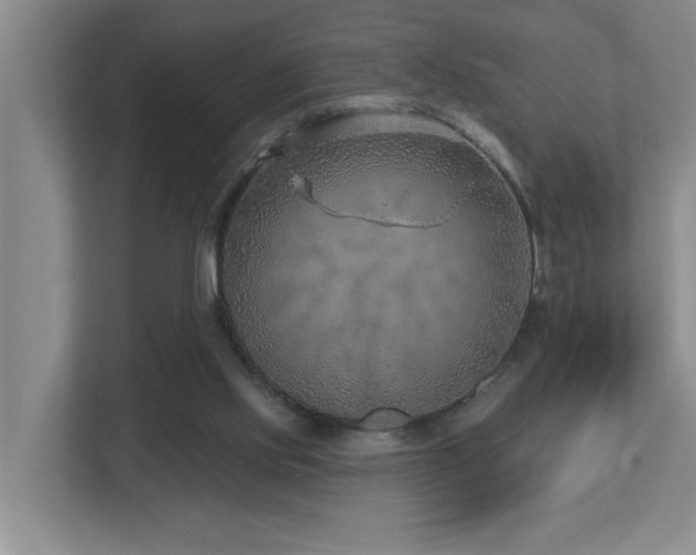 X0000112760061200908201446
