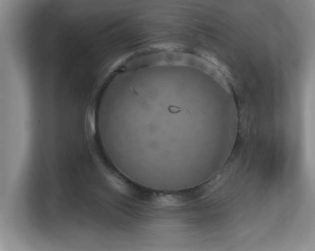 X0000112760062200908201446