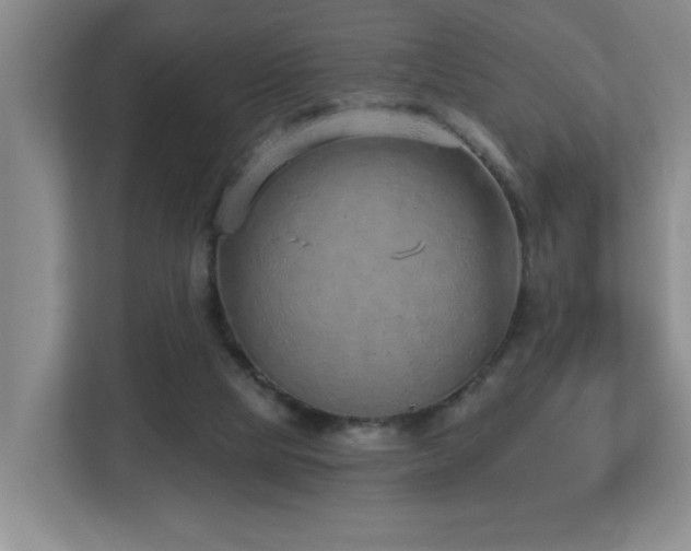 X0000112760065200908201446