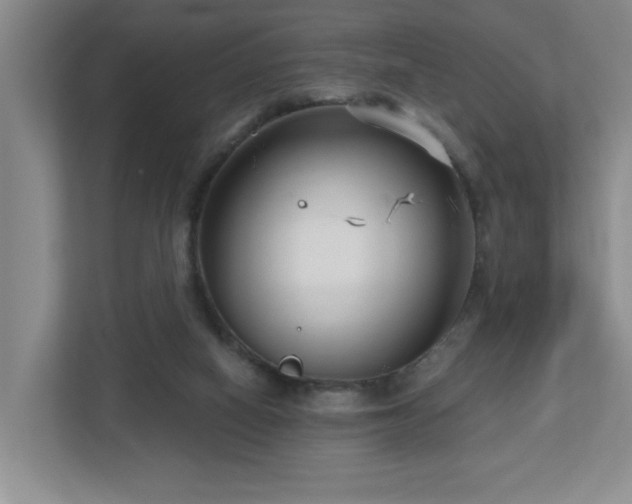 X0000112760066200908201446