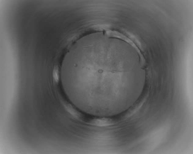 X0000112760069200908201446