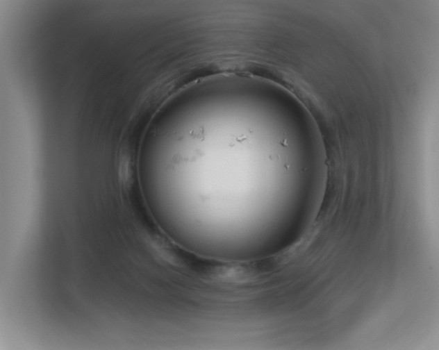 X0000112760074200908201446