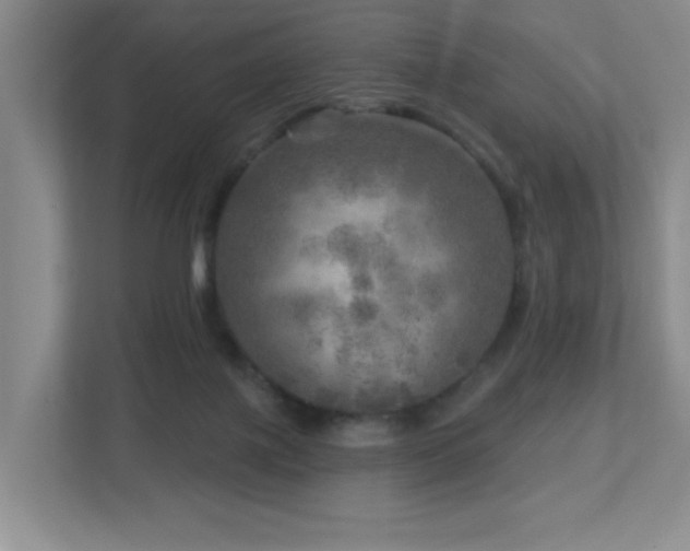 X0000112760075200908201446