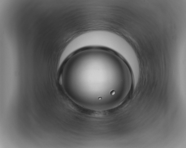 X0000112760076200908201446