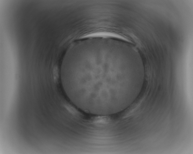X0000112760077200908201446