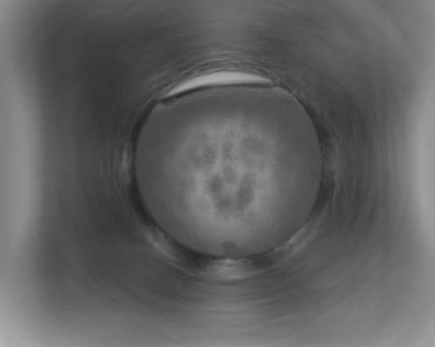 X0000112760082200908201446