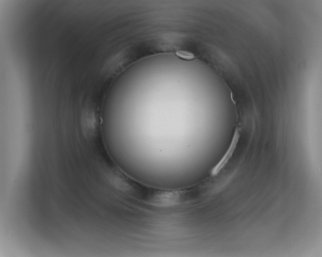 X0000112760084200908201446