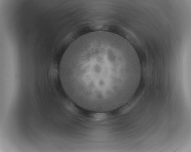X0000112760085200908201446