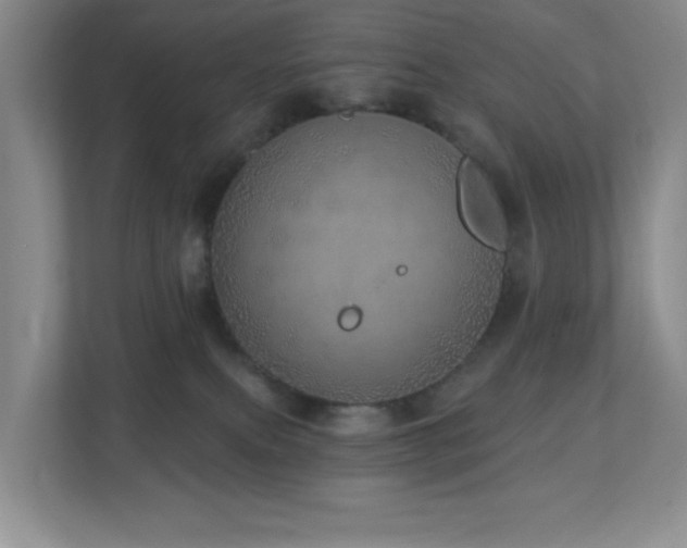 X0000112760087200908201446