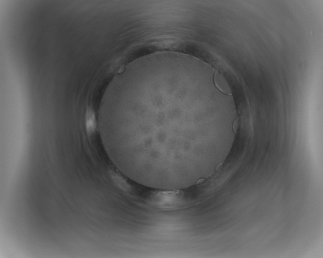 X0000112760089200908201446