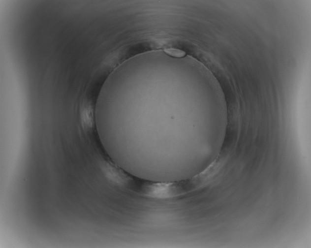 X0000112760090200908201446