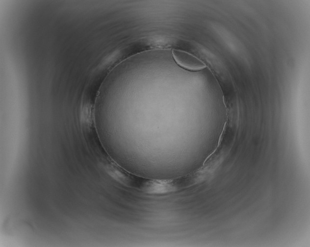X0000112760093200908201446