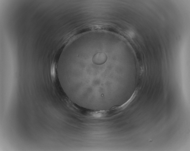 X0000112760094200908201446