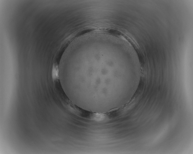 X0000112760095200908201446