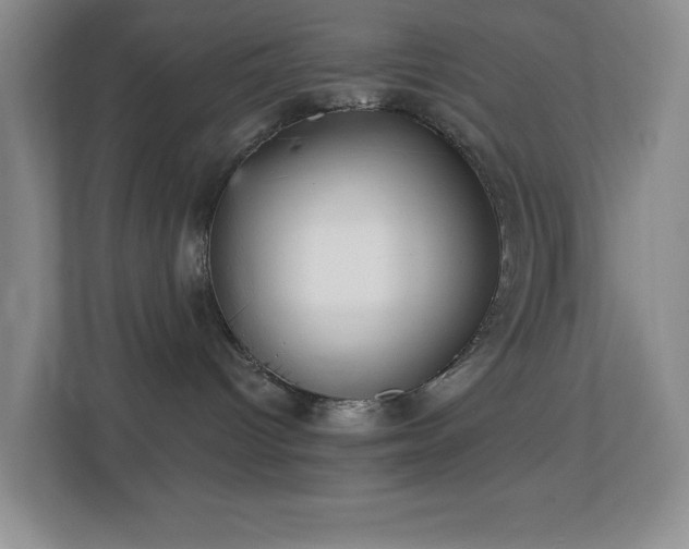 X0000112760096200908201446