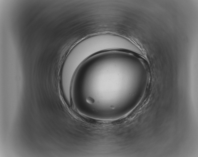 X0000112760097200908201446