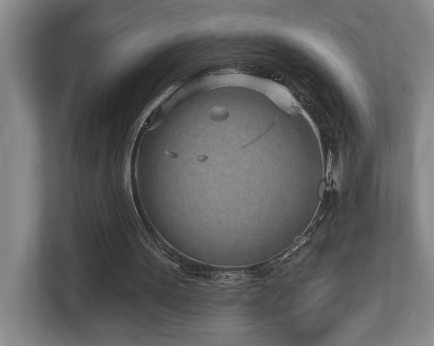 X0000112760099200908201446