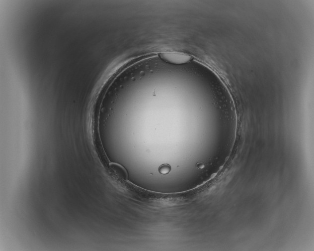 X0000112760103200908201446