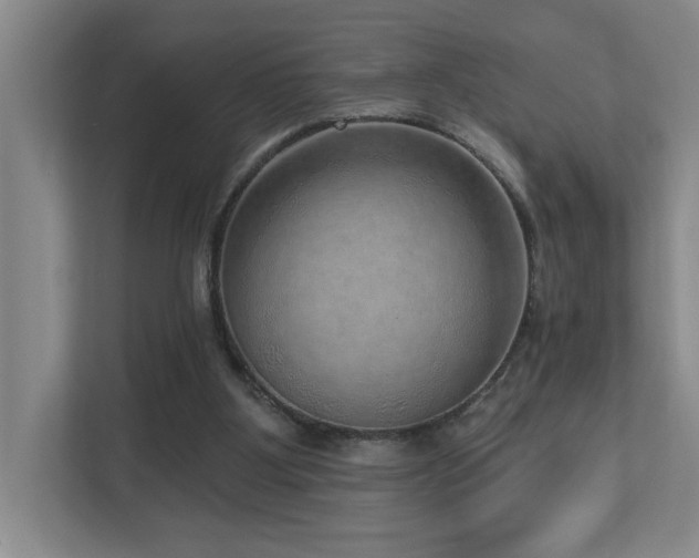 X0000112760107200908201446