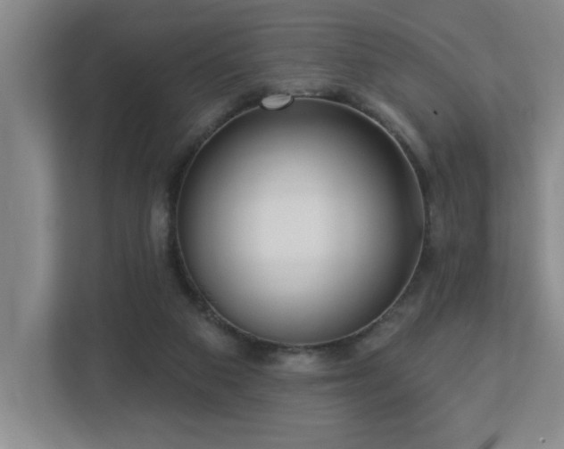 X0000112760113200908201446