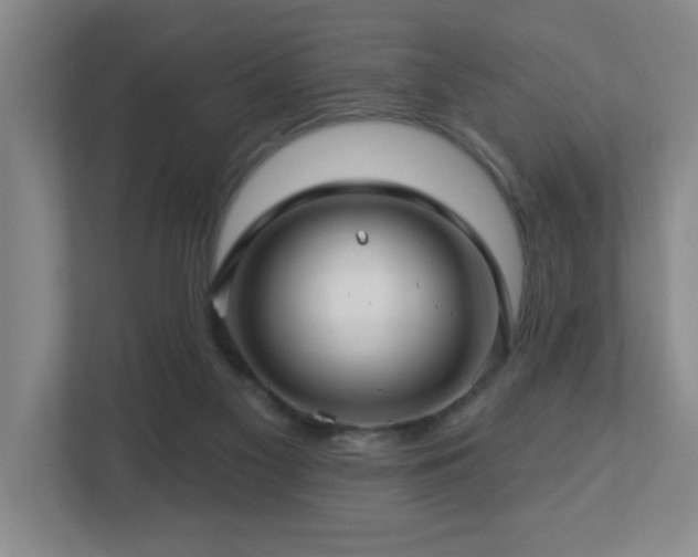 X0000112760117200908201446