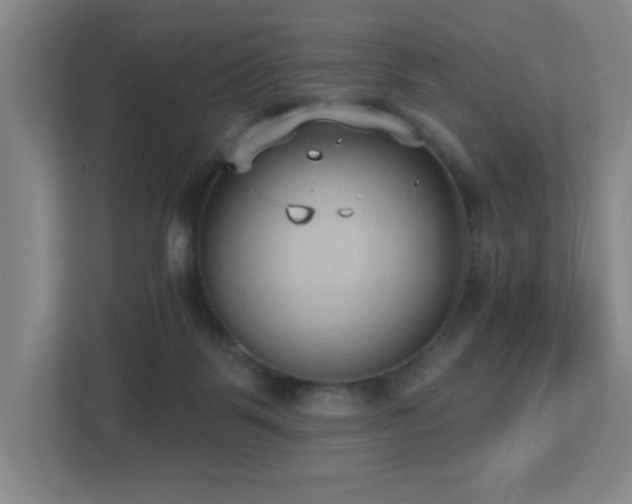 X0000112760123200908201446