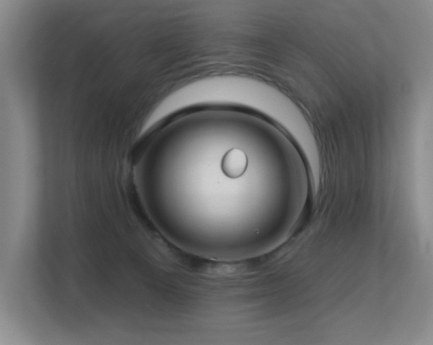 X0000112760129200908201445