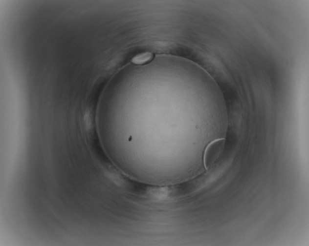 X0000112760131200908201445