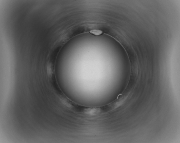 X0000112760135200908201445