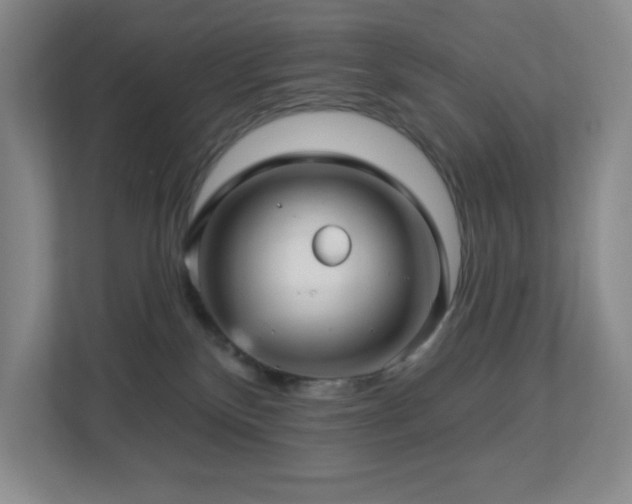 X0000112760136200908201445