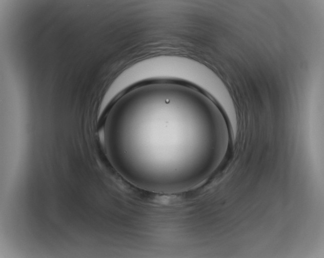 X0000112760137200908201445