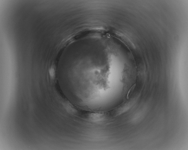 X0000112760139200908201445
