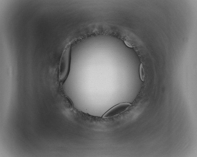 X0000112760144200908201445