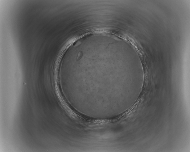 X0000112760145200908201445