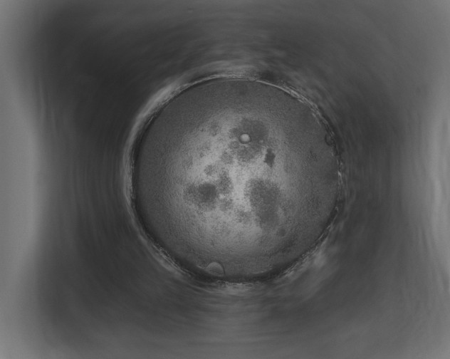 X0000112760149200908201445