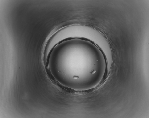 X0000112760150200908201445