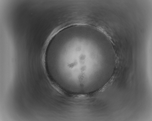 X0000112760151200908201445