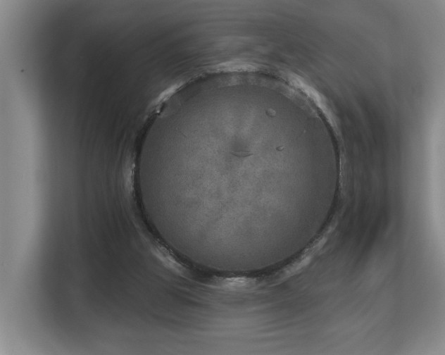 X0000112760153200908201445