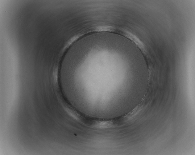 X0000112760155200908201445