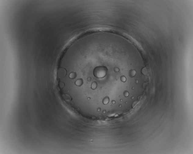 X0000112760159200908201445