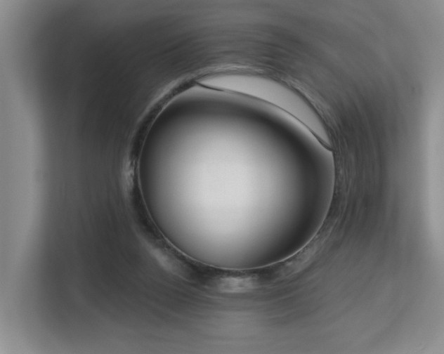 X0000112760160200908201445