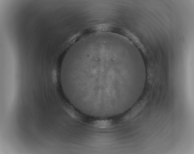 X0000112760161200908201445