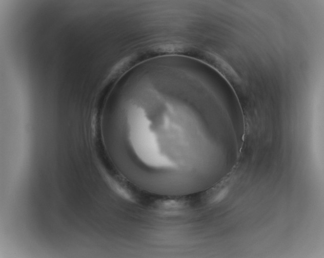 X0000112760163200908201445