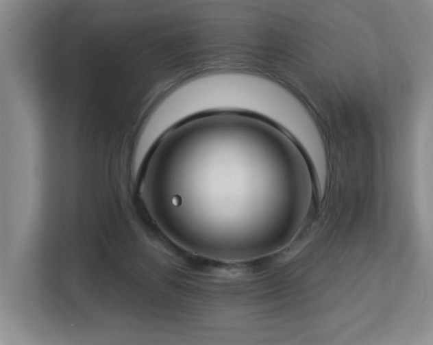 X0000112760164200908201445