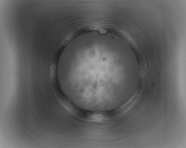 X0000112760171200908201445