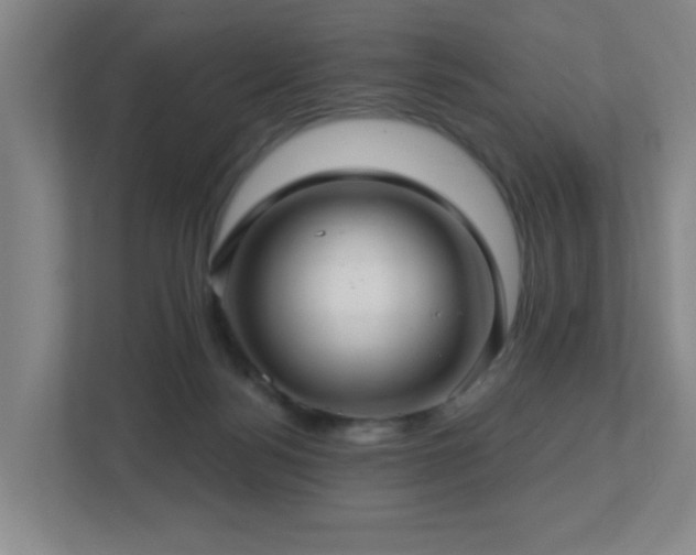 X0000112760172200908201445