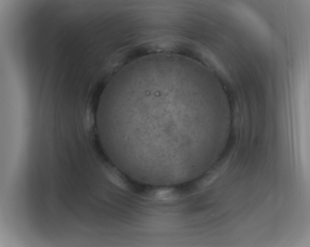 X0000112760173200908201445