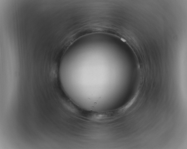 X0000112760174200908201445